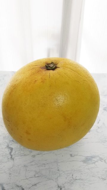 晩白柚（バンペイユ）